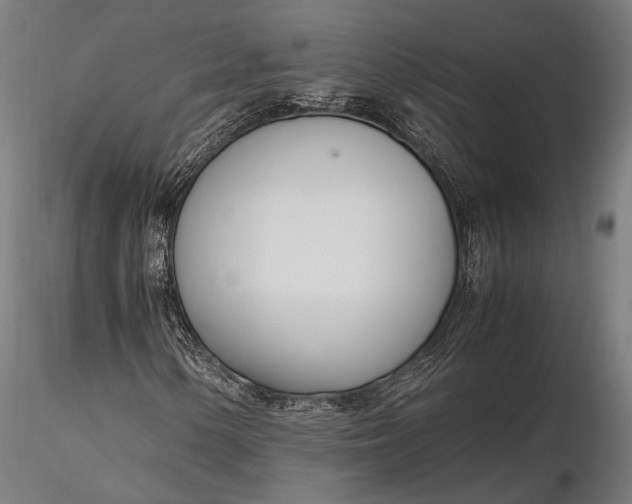 X0000116291154200912141305