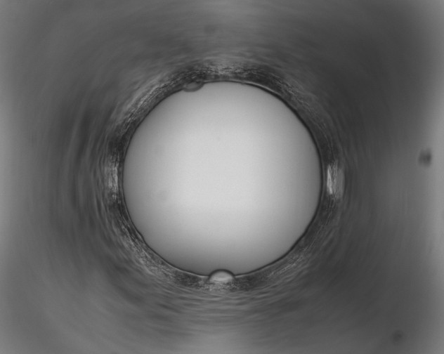 X0000116291155200912141305