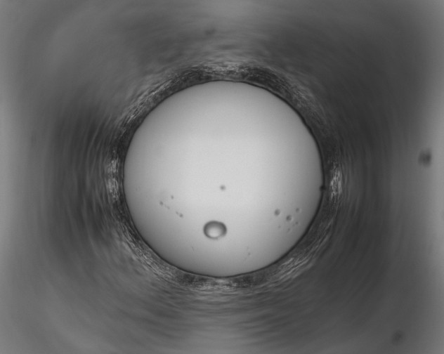 X0000116291156200912141305