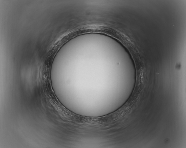 X0000116291158200912141305