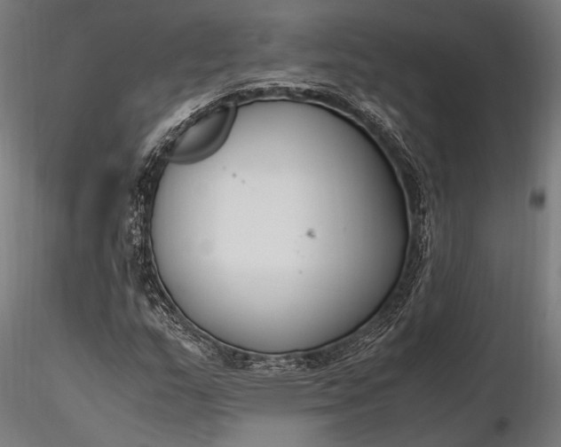 X0000116291159200912141305