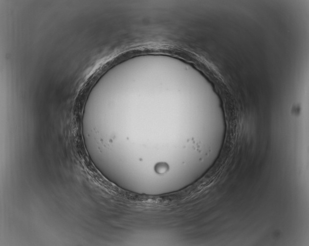 X0000116291160200912141305