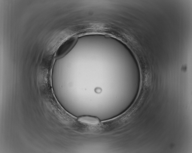 X0000116291161200912141305