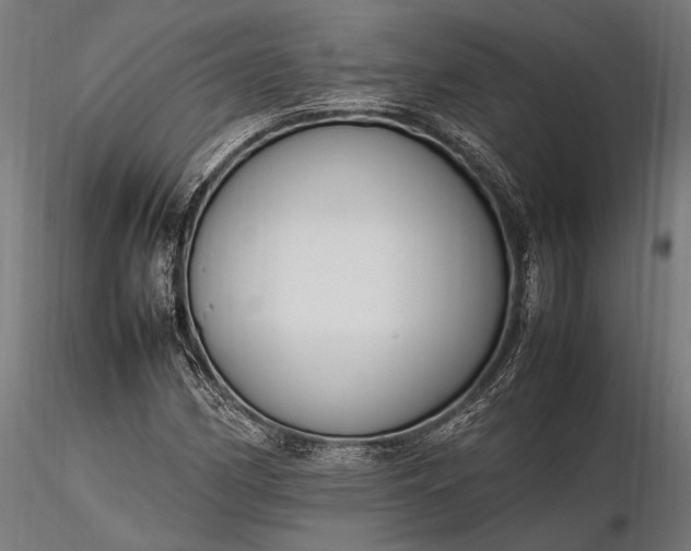 X0000116291162200912141305