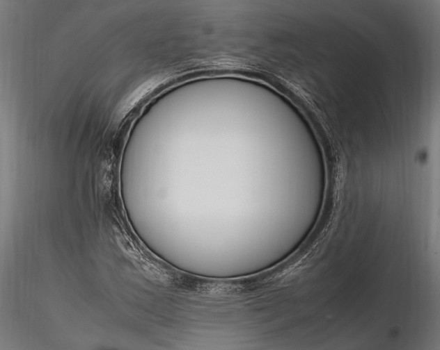 X0000116291163200912141305