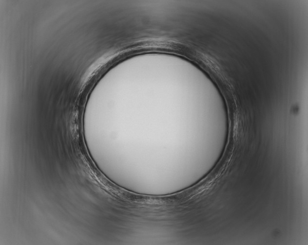 X0000116291164200912141305