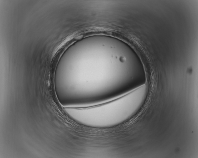 X0000116291165200912141305