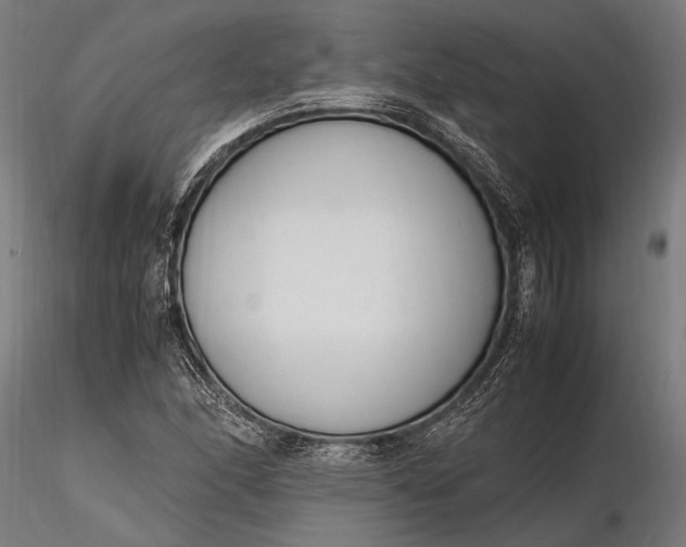 X0000116291166200912141305