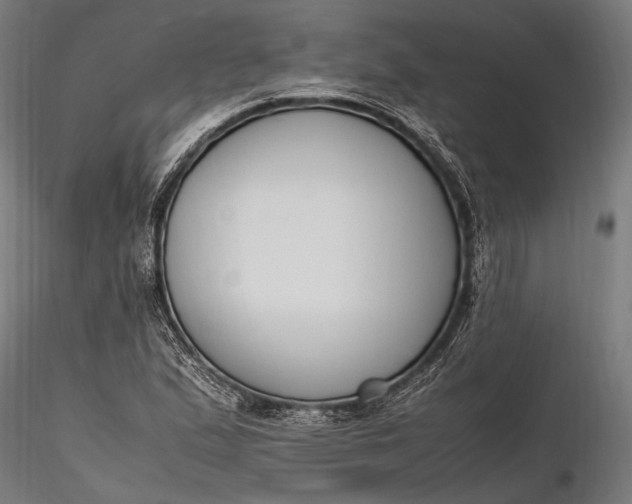 X0000116291167200912141305