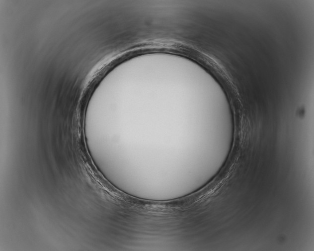 X0000116291172200912141304