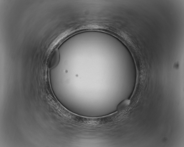 X0000116291173200912141304