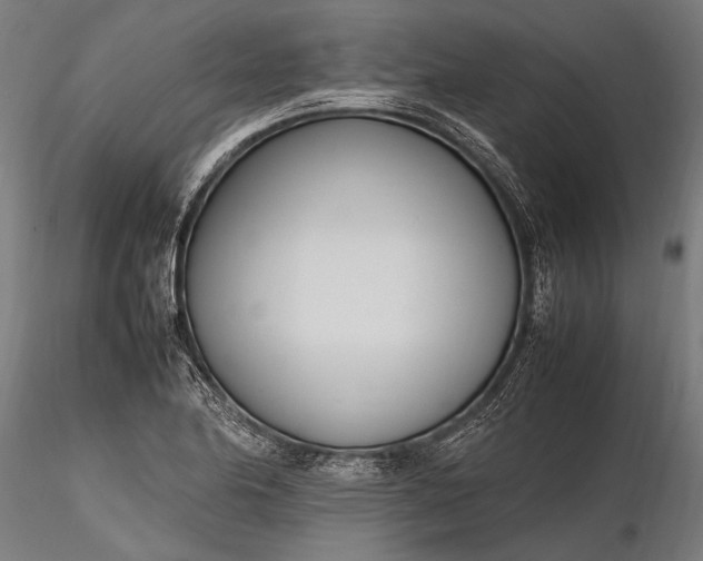 X0000116291174200912141304