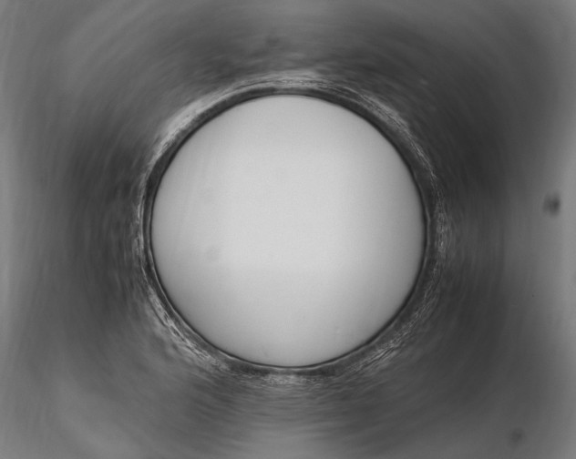 X0000116291176200912141304