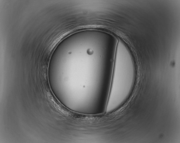 X0000116291177200912141304