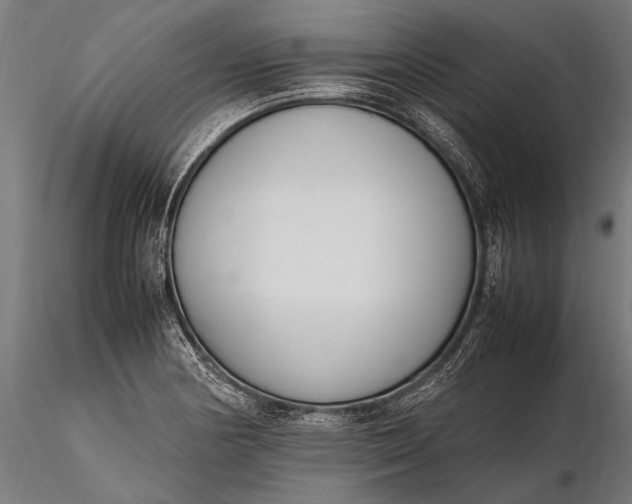 X0000116291178200912141304