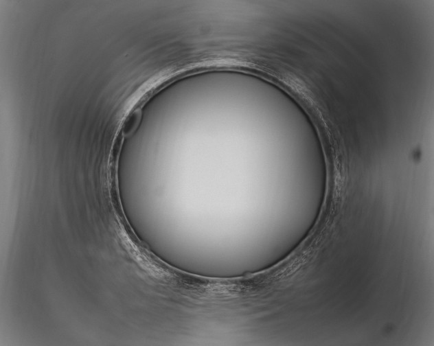 X0000116291181200912141304