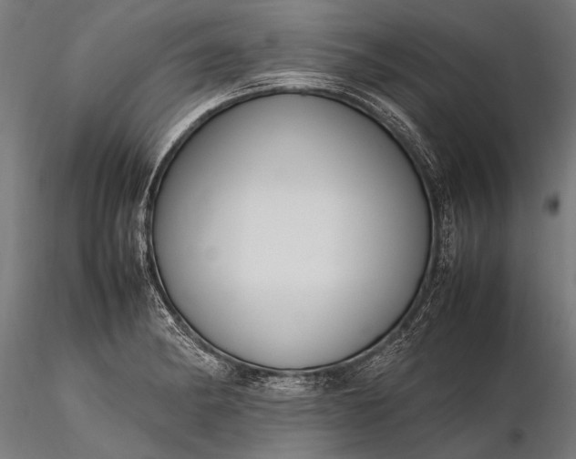 X0000116291182200912141304