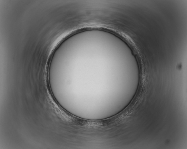 X0000116291183200912141304