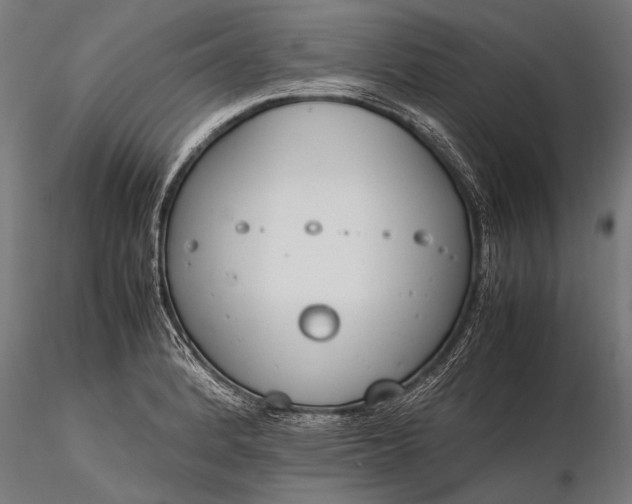 X0000116291184200912141304