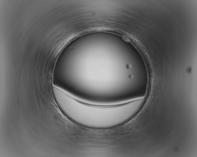 X0000116291185200912141304