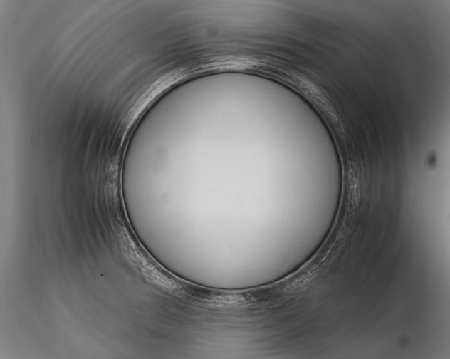 X0000116291186200912141304