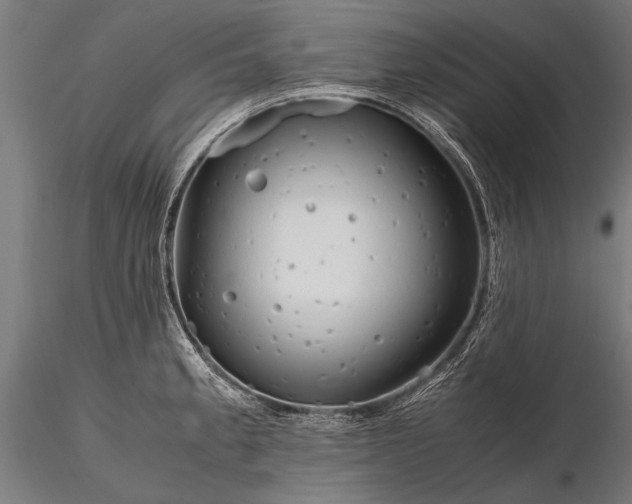 X0000116291189200912141304