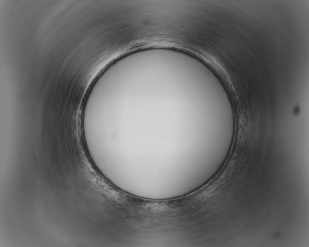 X0000116291190200912141304