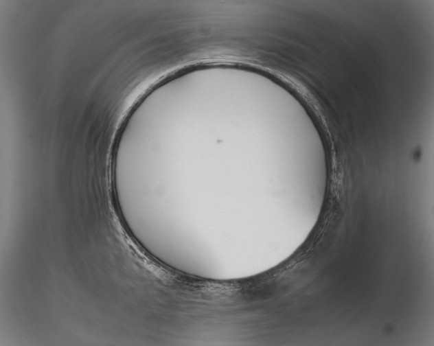 X0000116291191200912141304