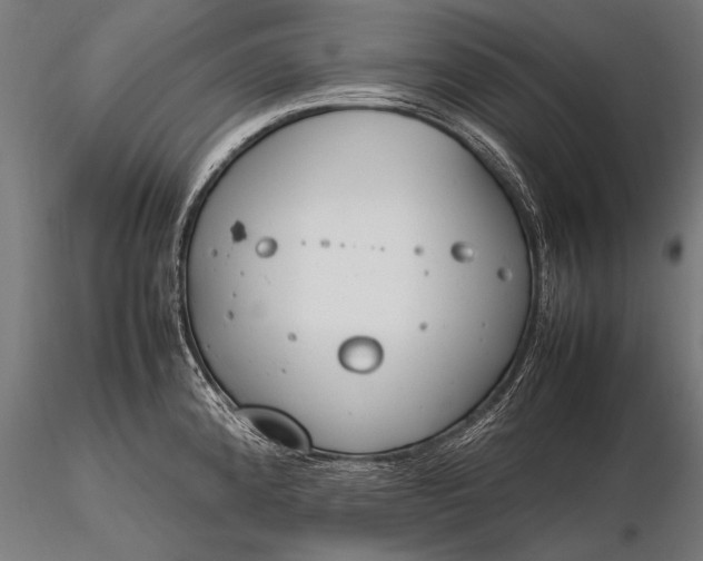 X0000116291192200912141304