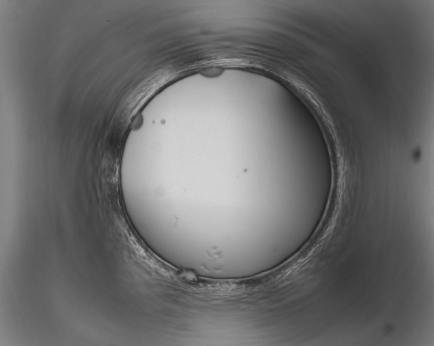 X0000116291193200912141304