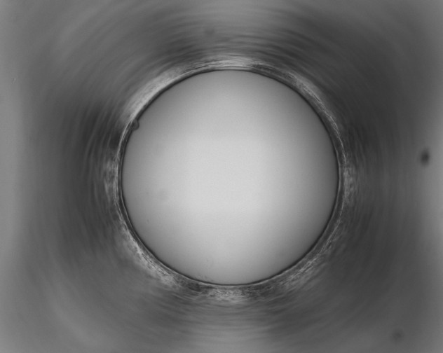 X0000116291194200912141304