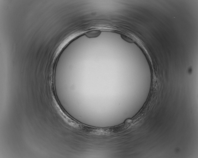 X0000116291195200912141304