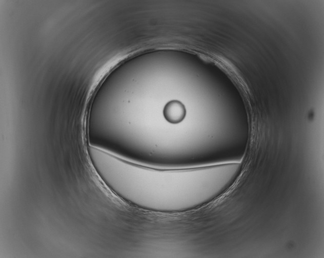 X0000116291196200912141304