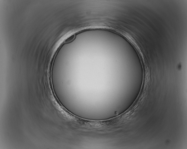 X0000116291197200912141304