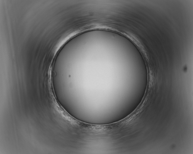 X0000116291198200912141304