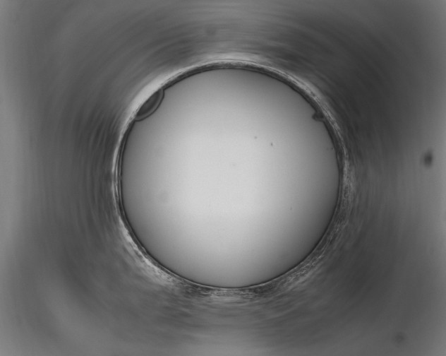 X0000116291199200912141304