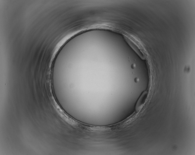 X0000116291200200912141304