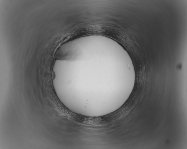 X0000116291201200912141303