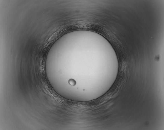 X0000116291202200912141303