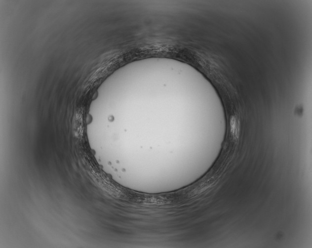 X0000116291203200912141303