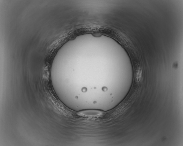 X0000116291204200912141303