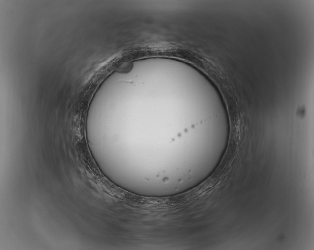 X0000116291205200912141303