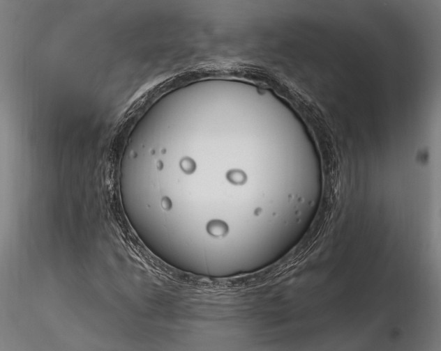 X0000116291206200912141304