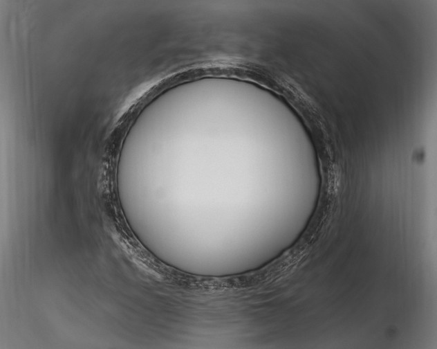 X0000116291208200912141304