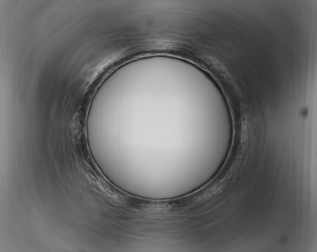 X0000116291210200912141304