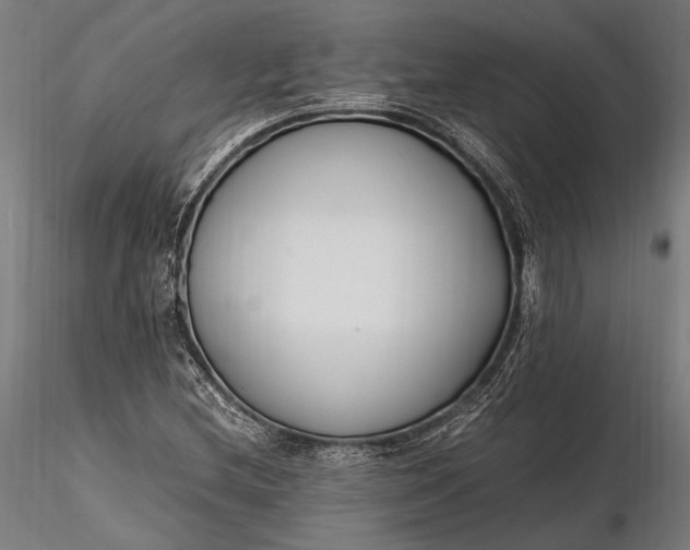 X0000116291212200912141304