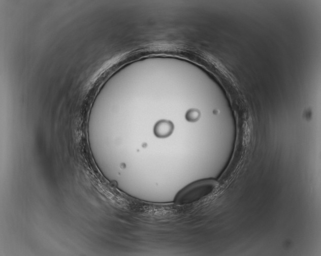 X0000116291213200912141304