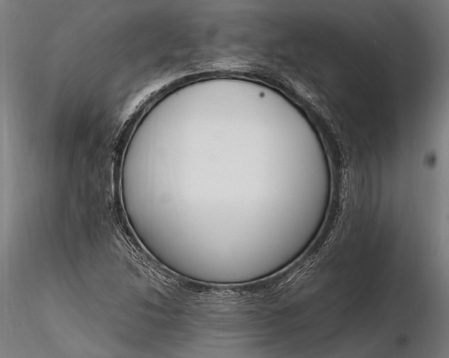 X0000116291214200912141304