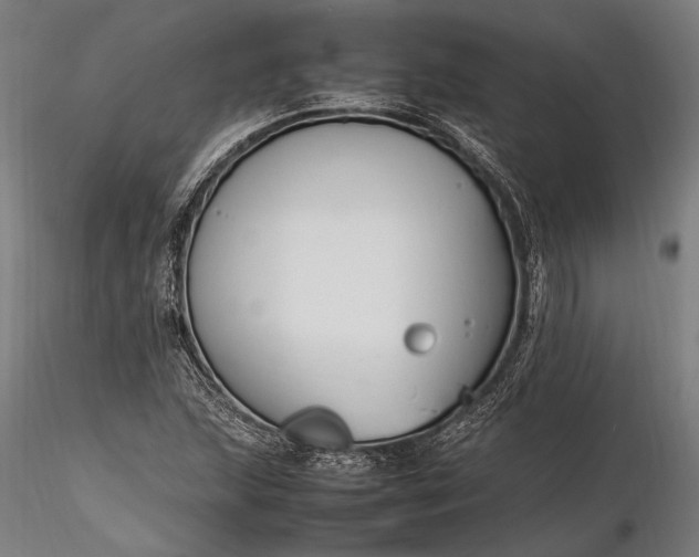 X0000116291215200912141304