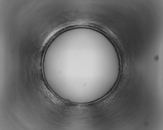 X0000116291216200912141304